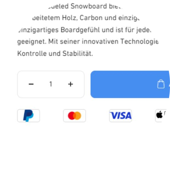 Payment Icons